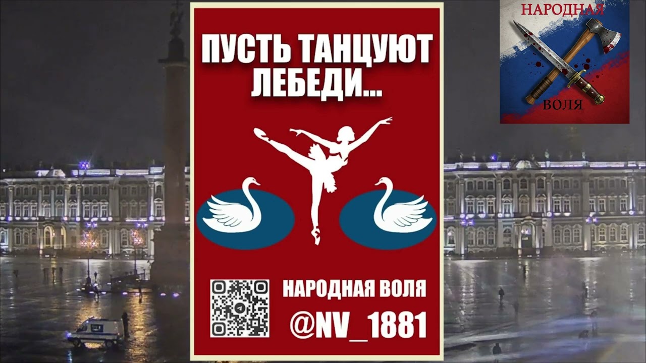 В Петербурге Народная Воля вышла на акцию в поддержку певицы Наоко.