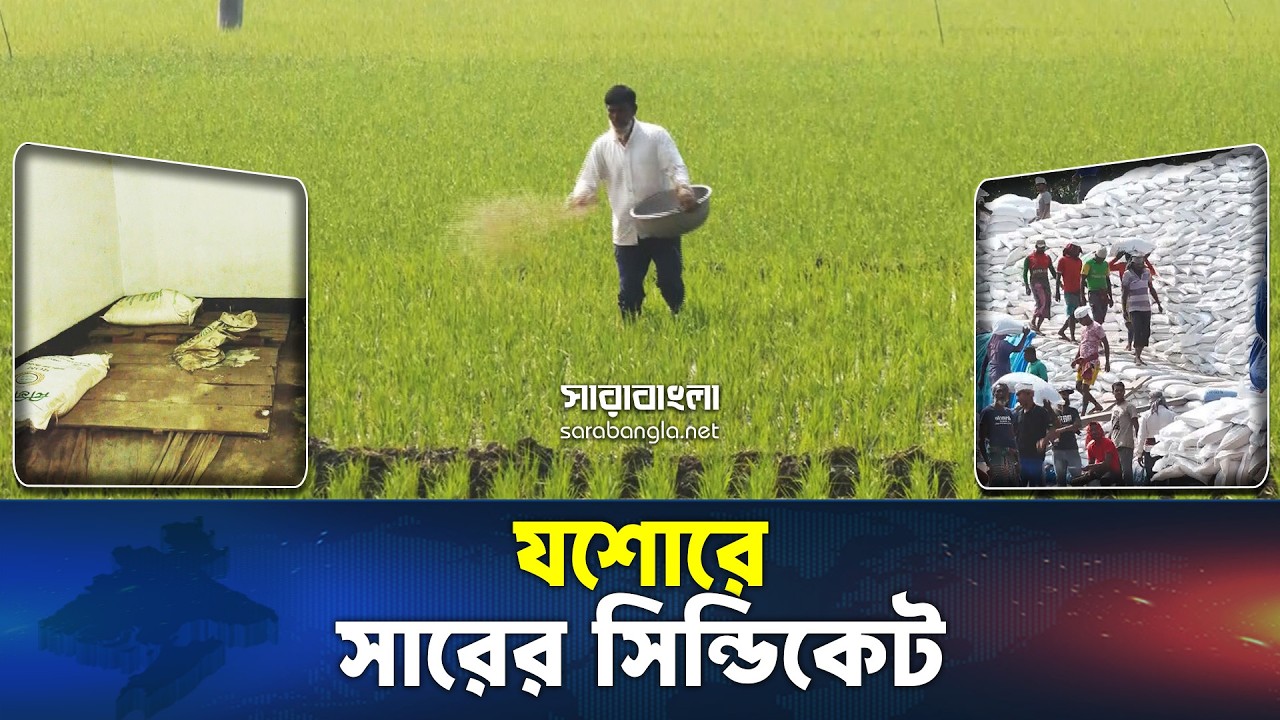 যশোরে বোরো আবাদের ভরা মৌসুমে সারের কৃত্রিম সংকটে দিশেহারা চাষীরা।। Sarabangla News