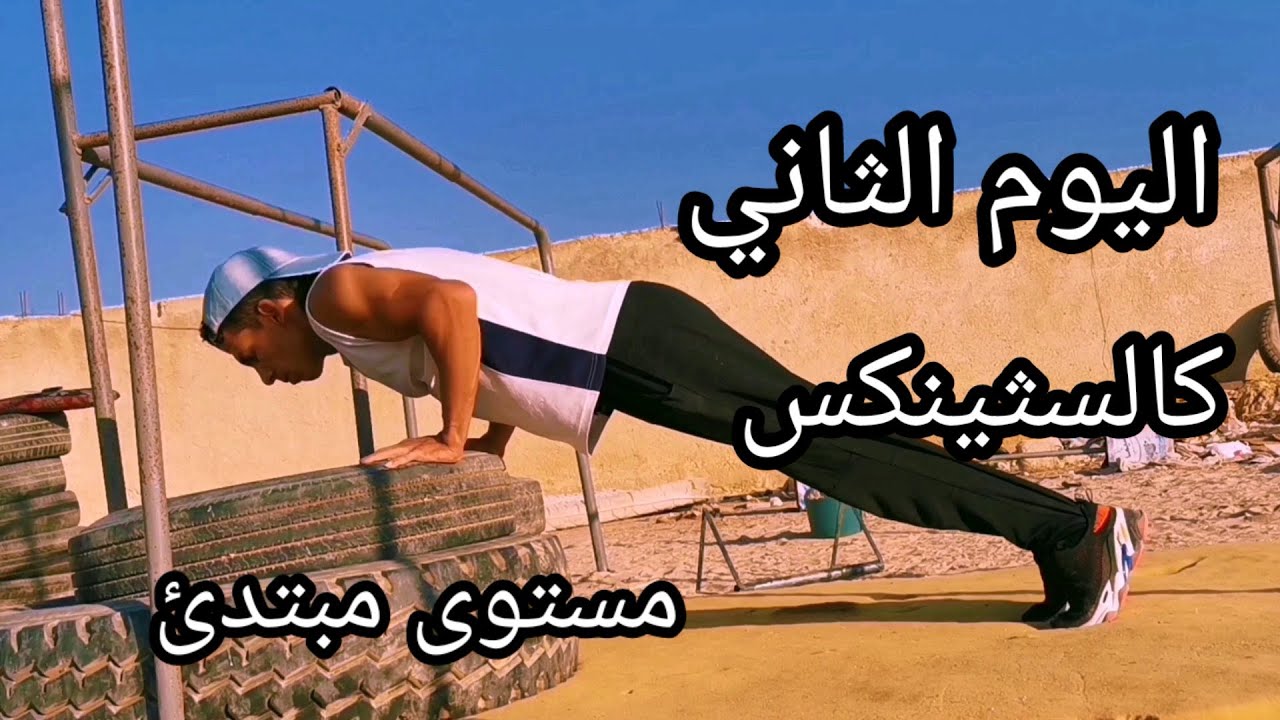 برنامج (مبتدئ) اليوم الثاني Calisthenics Training For Beginners || 2nd Day.