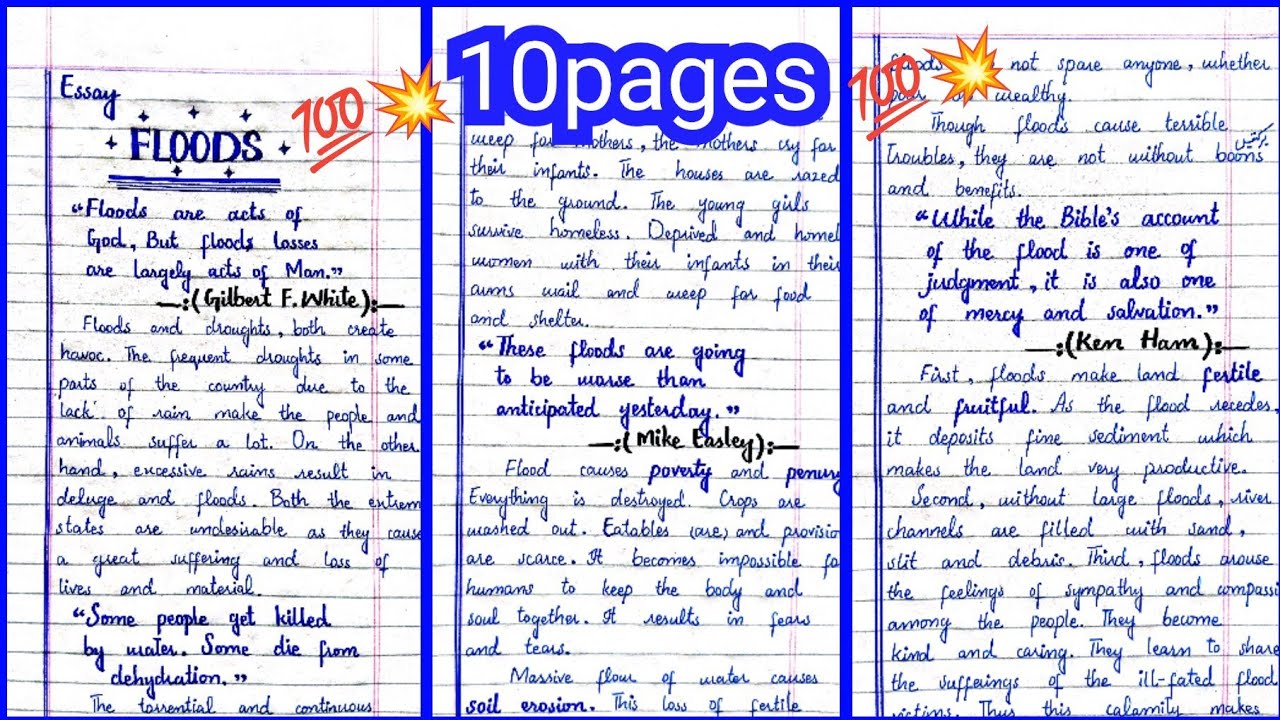 Essay on 