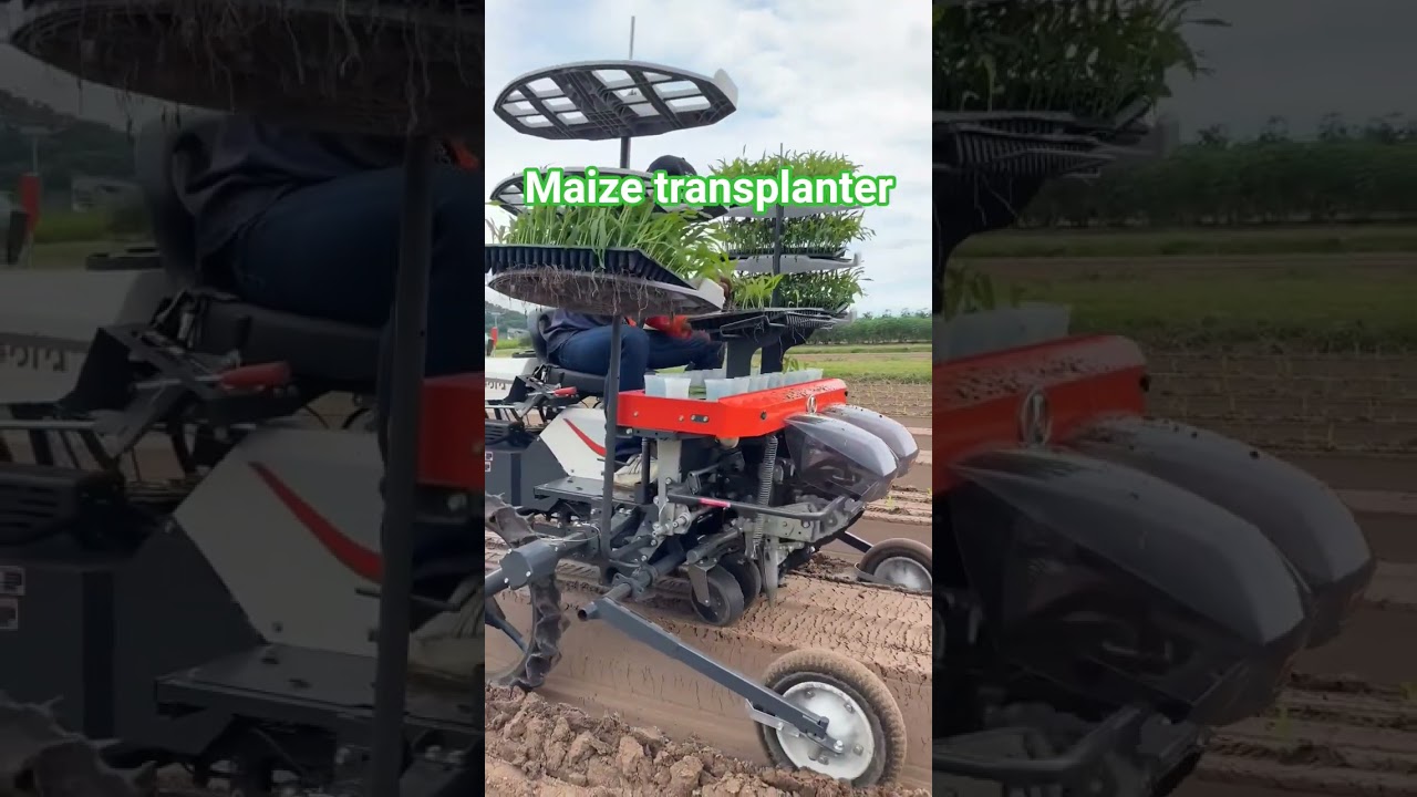 farming Discovery #maize transplanter, sustainable farming, maize transplanting machine