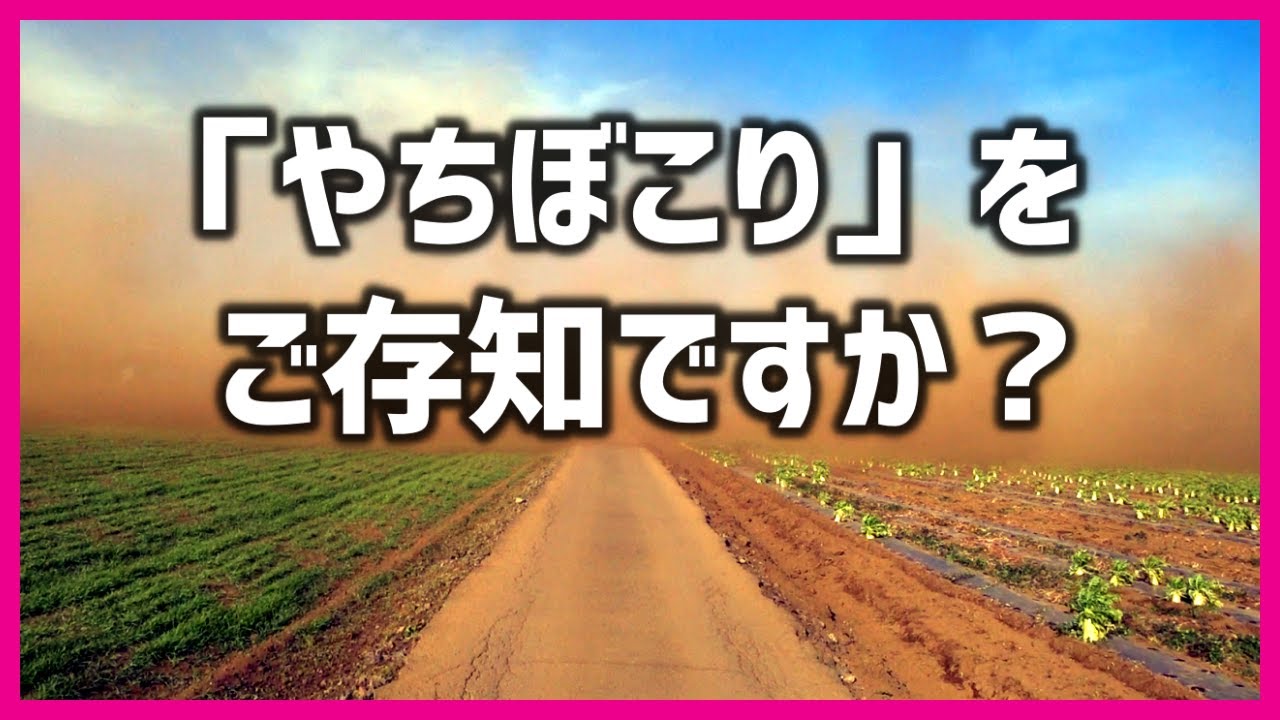 【千葉県八街市】やちぼこりと対決して酷い目に遭いました(；´Д｀) [字幕あり]