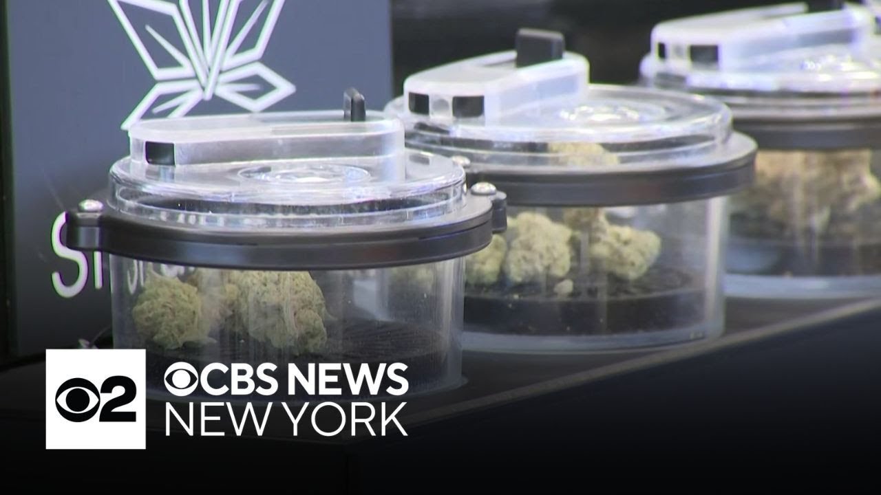 New York State Office of Cannabis Management miscalculated distances between schools, dispensaries