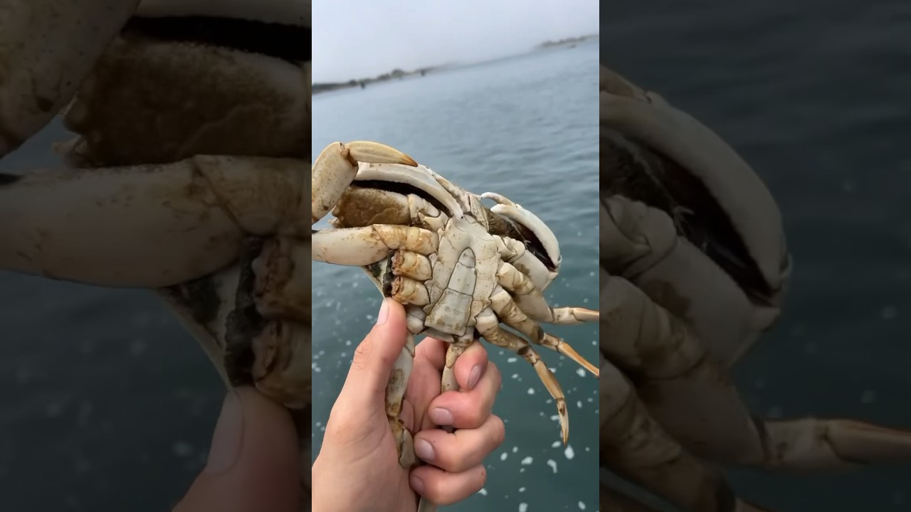 Oregon road trip, crabbing fishing Bandon Oregon #fishing #fishinglife #fishingtrip #roadtrip #crab