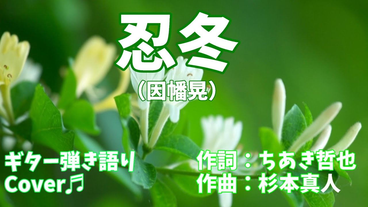 【№36】忍冬（因幡　晃）ギター弾き語り　　Cover♫