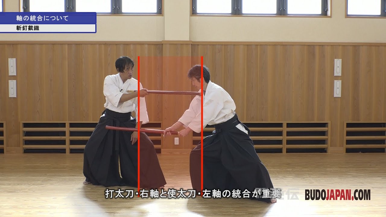 井澤秀雄師範【剣術の身体操作】斬釘截鐡（ざんていせってつ）　Sword techniques in Shinkage-ryu Kenjutsu vol.1