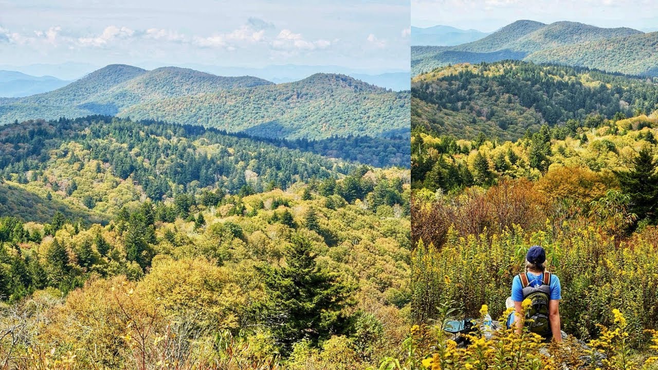Fork Ridge Meadow & Mt. Hardy - Blue Ridge Parkway, NC - Hike Vlog 113