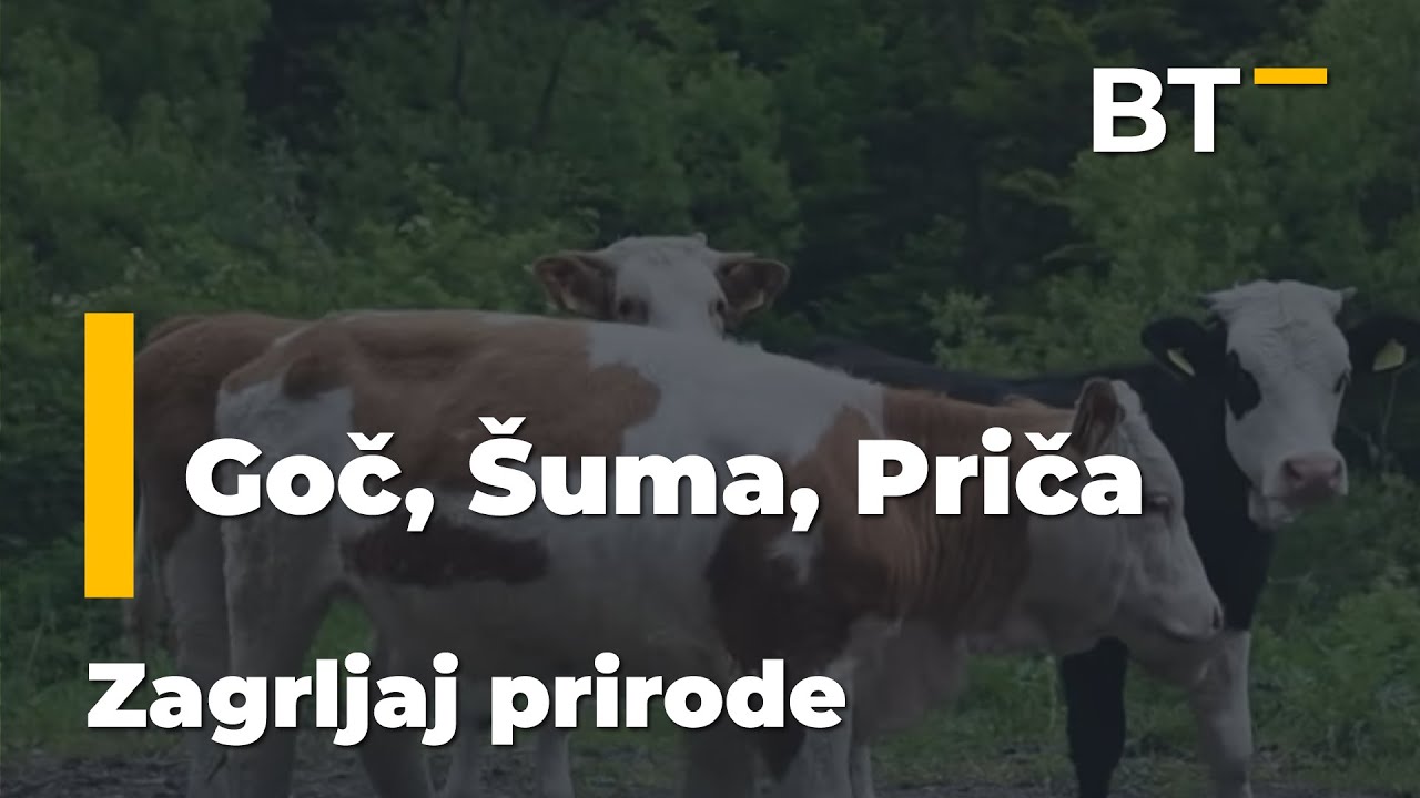 ZAGRLJAJ PRIRODE  GOC, SUMA PRICA  Balkantrip TV