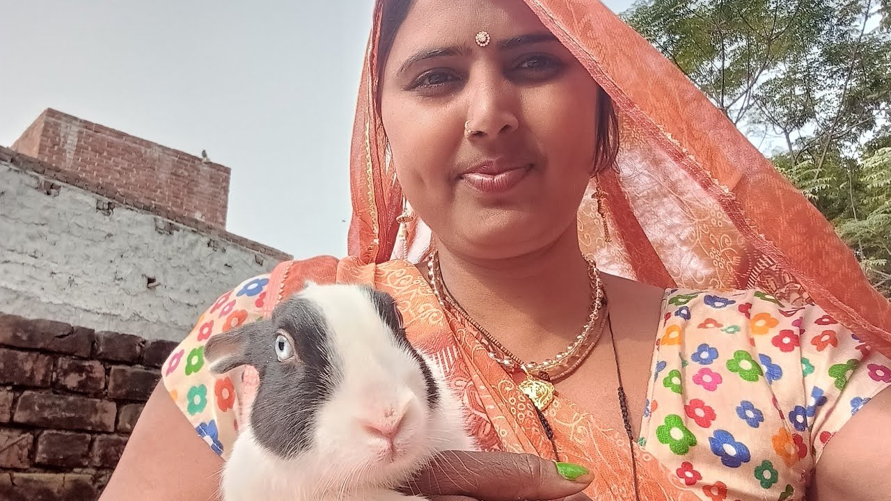 Anjali songs videos belonging लाइव है!