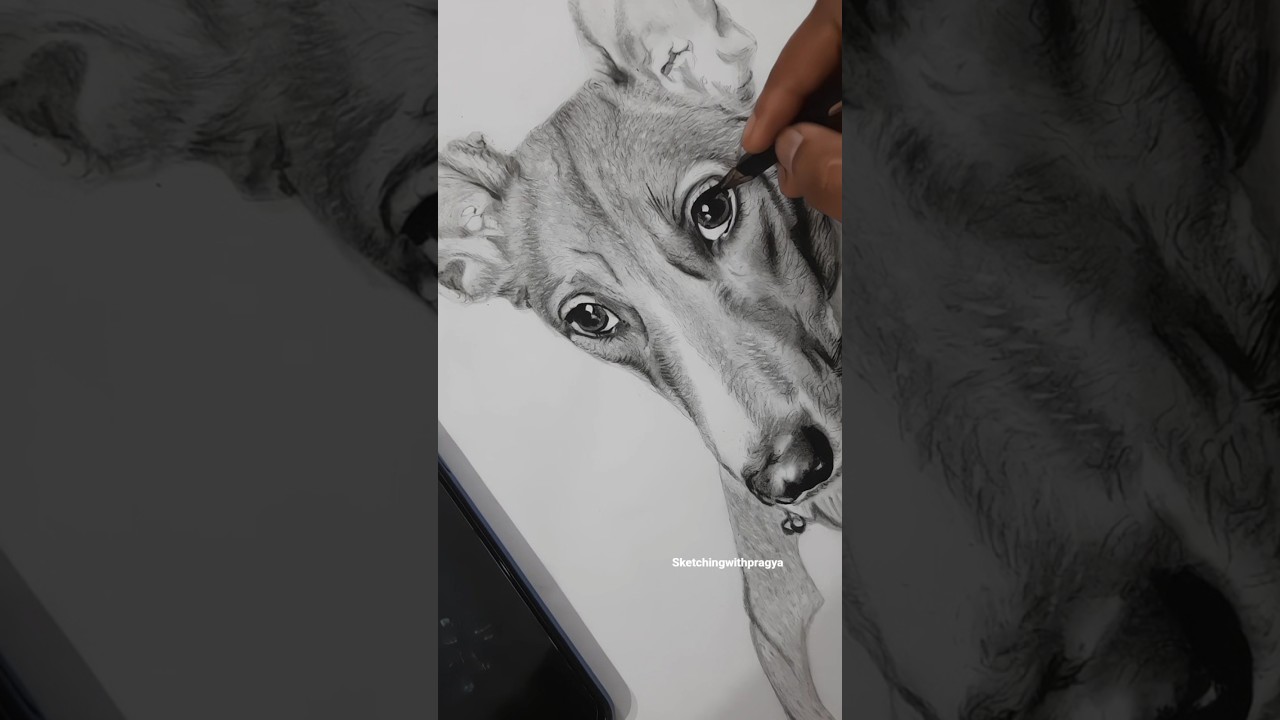 commission Artwork ♥️ 