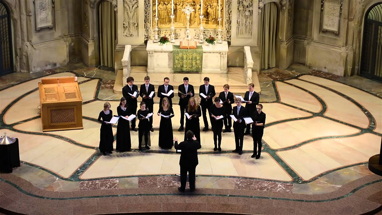 Schaffe in mir, Gott (Hammerschmidt) | Ensemble Musica Sacra