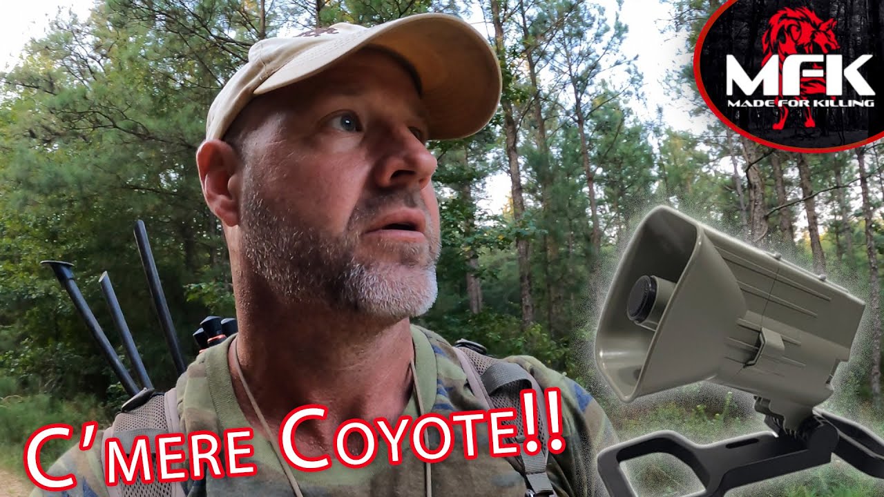 Calling Coyotes To 10 Yards With The MFK FoxPro X24!!