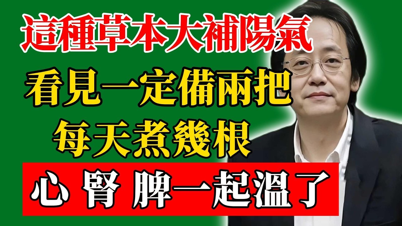 倪海廈：這種草本大補陽氣，看見一定備兩把，每天煮幾根，心、腎、脾一起溫了！#倪海廈#倪師#養生#中醫調理#中醫食療