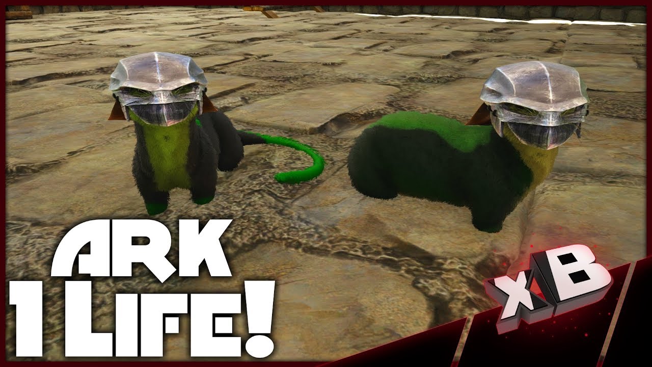 Battle Otters! :: ARK Noob vs 1 Life Challenge! :: E14