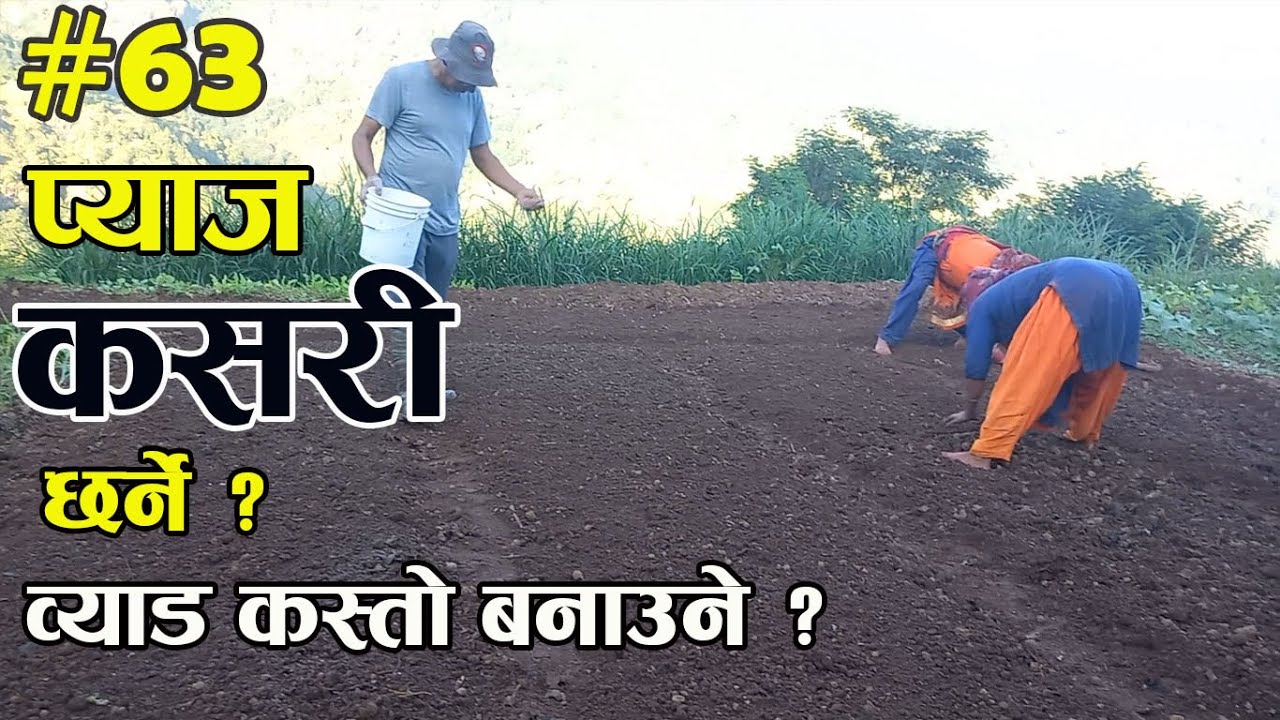 Krishika Kura Episode #063 प्याजको बिउ कसरी छर्ने ? ब्याड कसरी बनाउने ? Onion Farming in Nepal