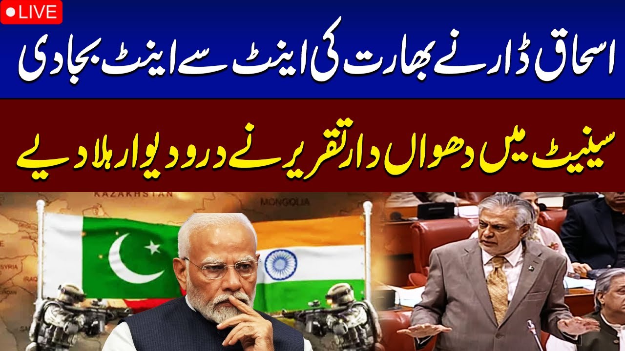 Deputy PM Ishaq Dar Speech in Senate Session