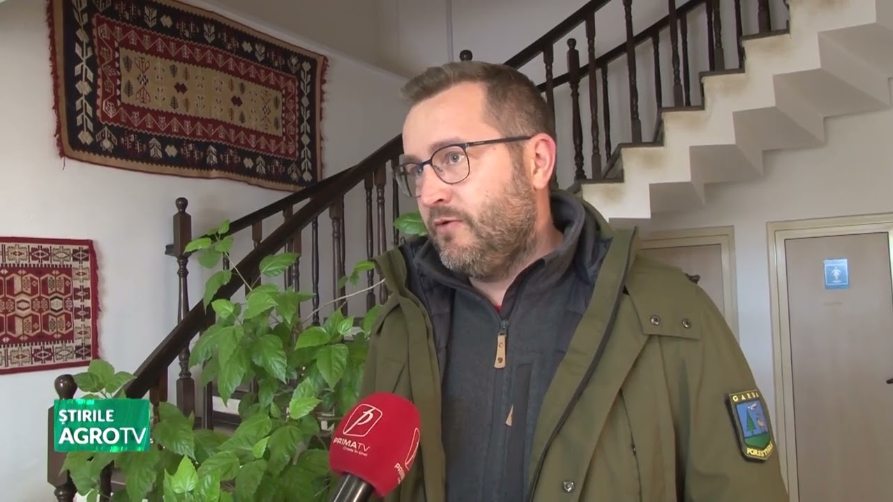 Dobrovăț, Iasi, scandal pe lemnele de foc ale grădinței 22 10 2025