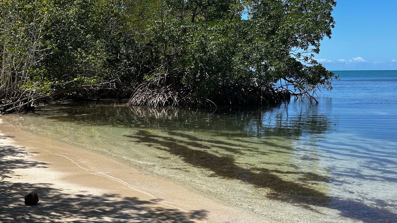 Visitando una Playa Super Preciosa en Cabo Rojo PR