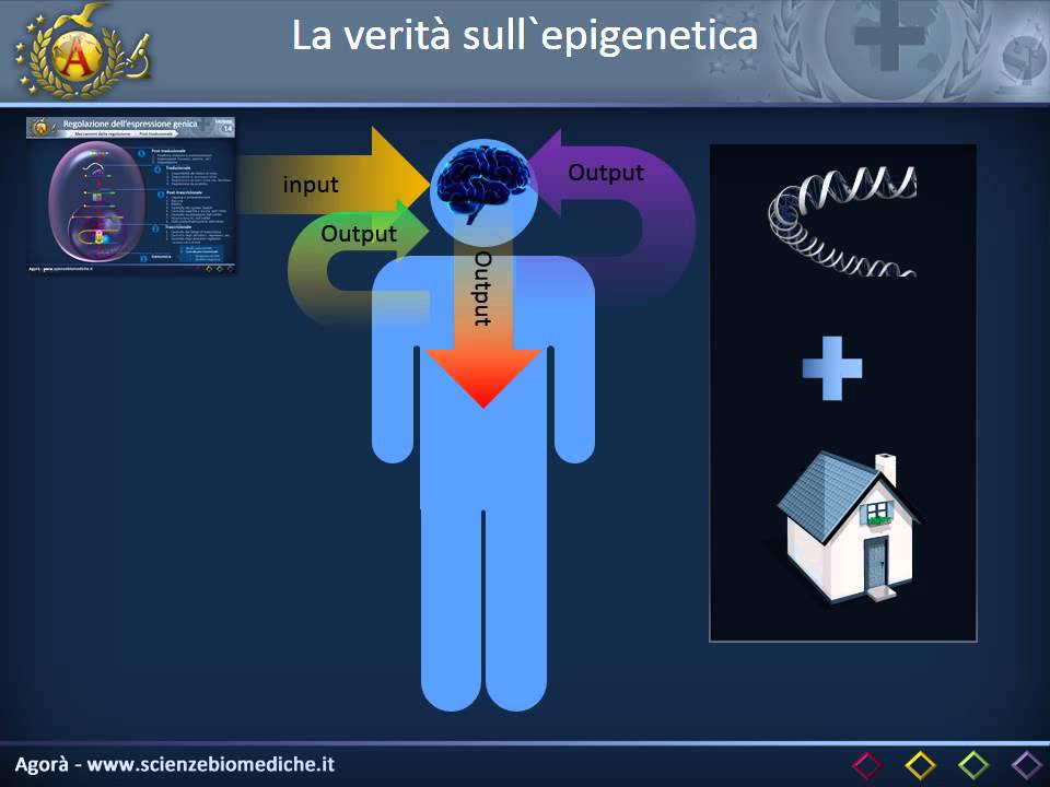 La verità sulla epigenetica