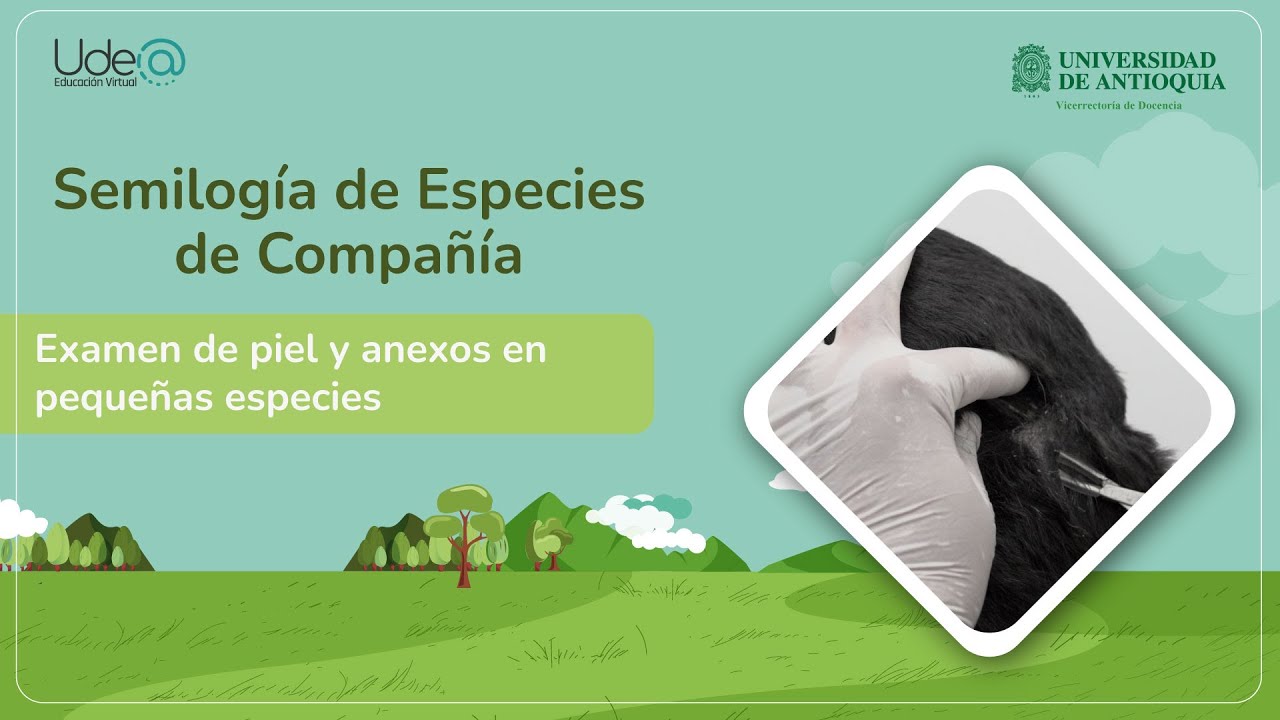 Examen clínico especial: examen de piel y anexos en pequeñas especies