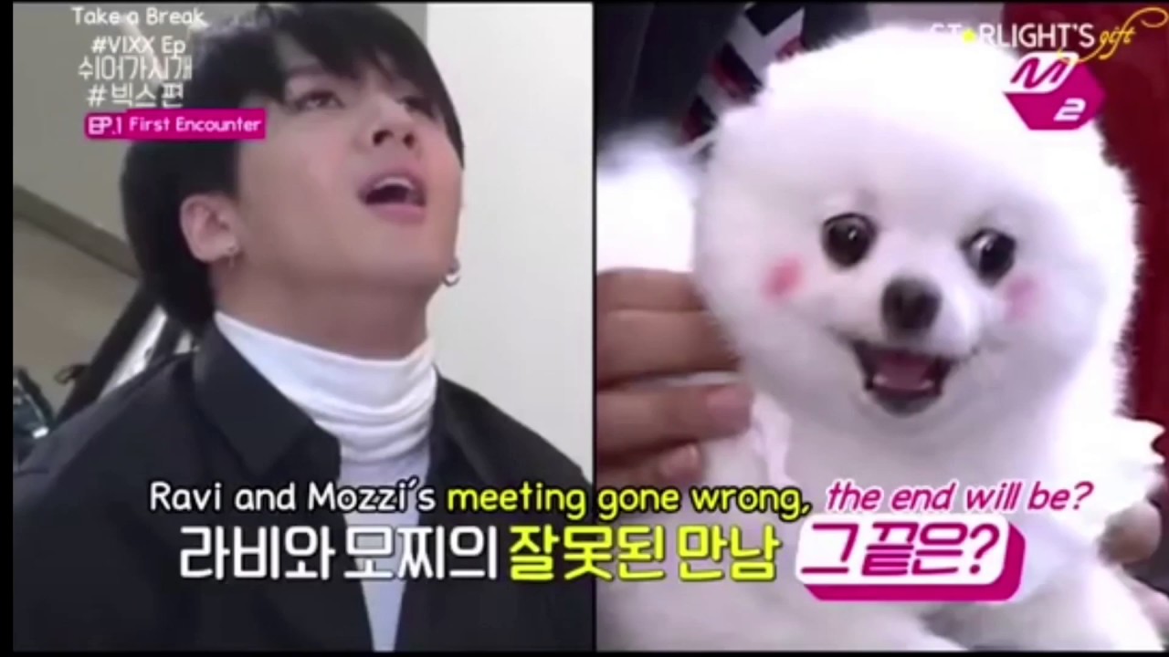 VIXX Ravi Cute, Funny, Cool Moments Compilation [ VIXX Ravi 빅스 - 라비 멋져요 귀엽다 (^ㅅ^*~) ]