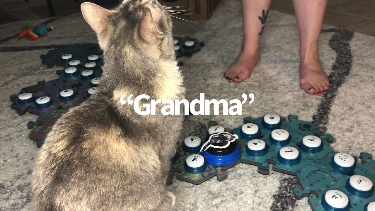 Grandma | BilliSpeaks