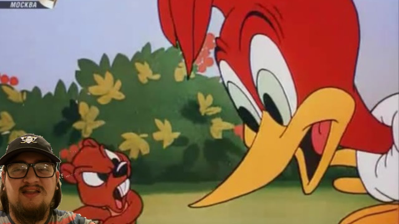 Woody Woodpecker: Wicket Wacky (1951) – First Time Watching: Woody Vs a Gopher!