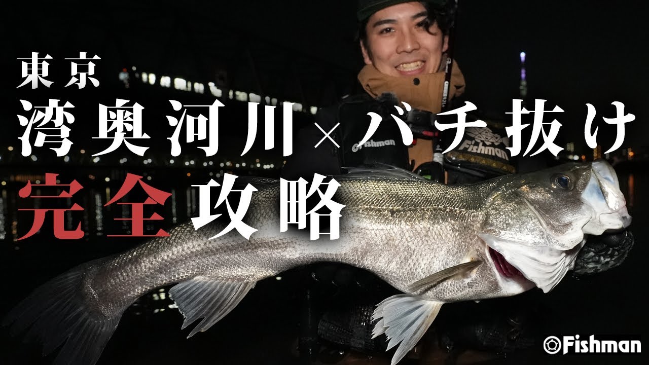 【東京湾シーバス】湾奥河川バチパターンの正攻法