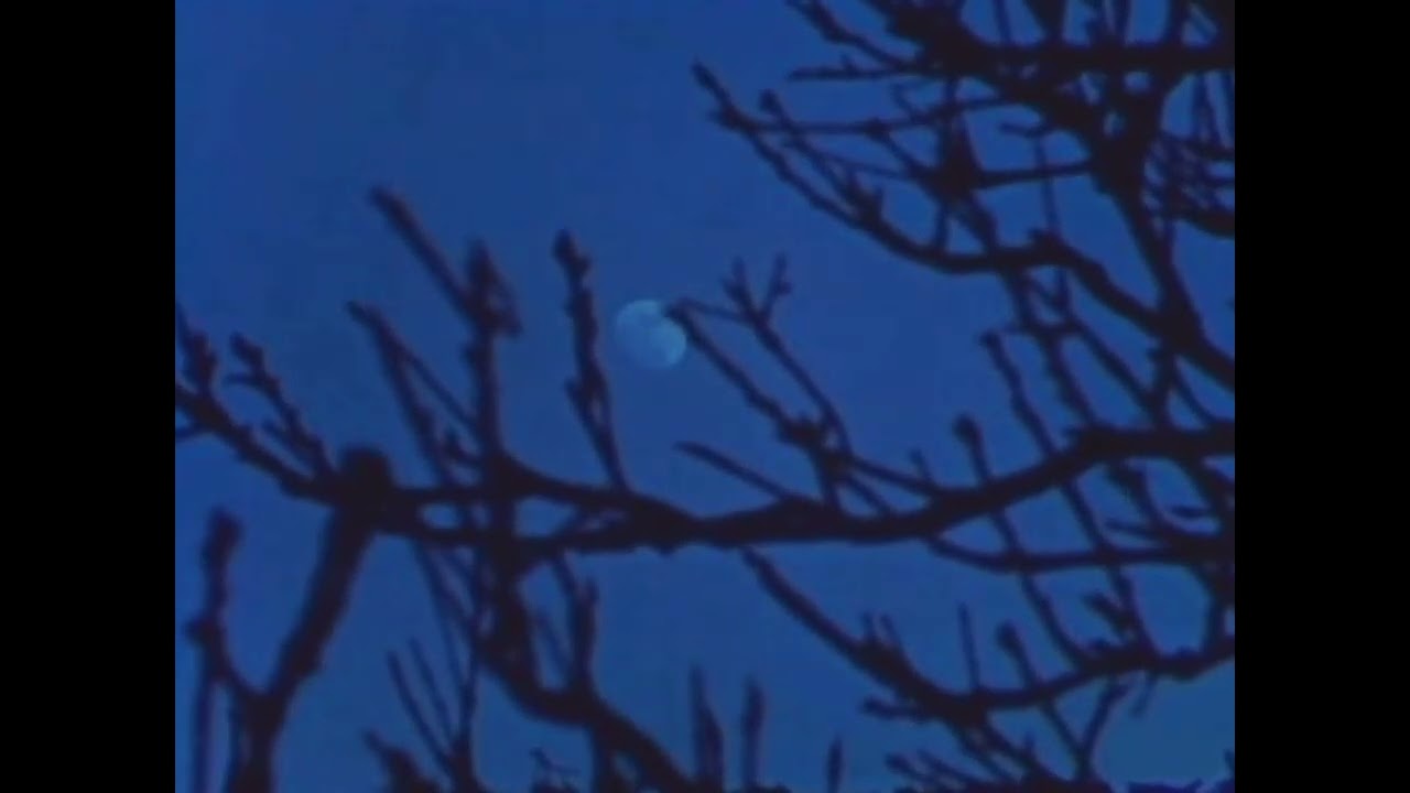 Michael Jackson – Human Nature |slowed+reverb|