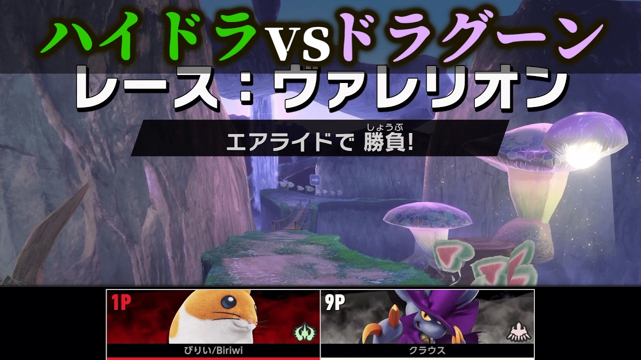 破壊神ハイドラvs不死鳥ドラグーン【カービィのエアライダー】