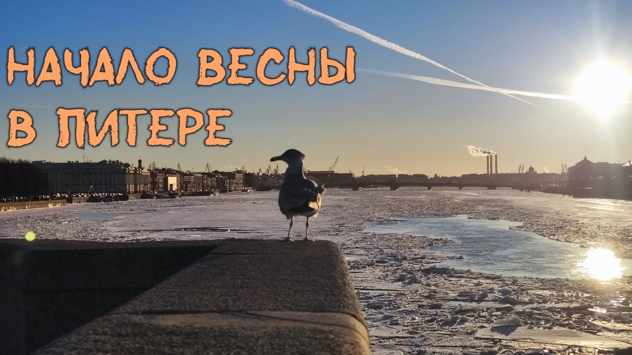 Экскурсия по Питеру | Бассейн у Флагштока | Карл и Фридрих
