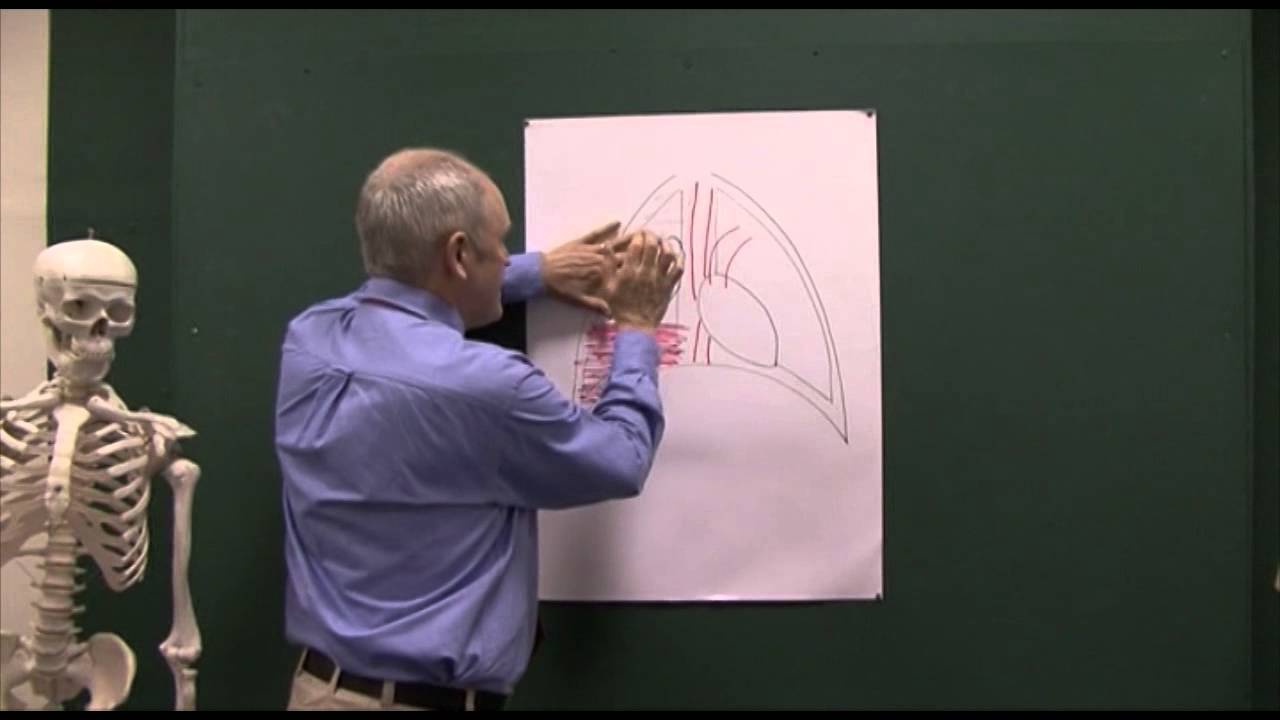 Trauma 6, Haemothorax