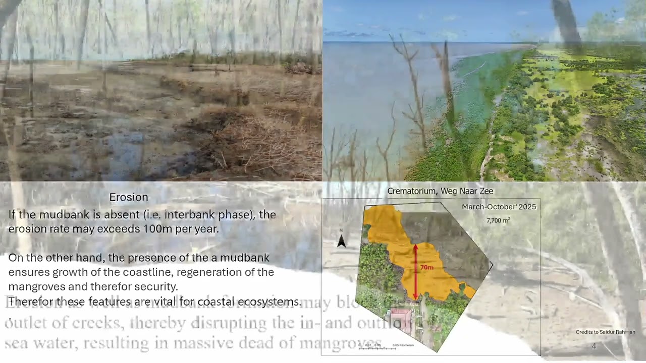 Lessons from UK Blue Carbon Fund-Supported Projects | Int'l Blue Carbon & Wetlands Conference 2026