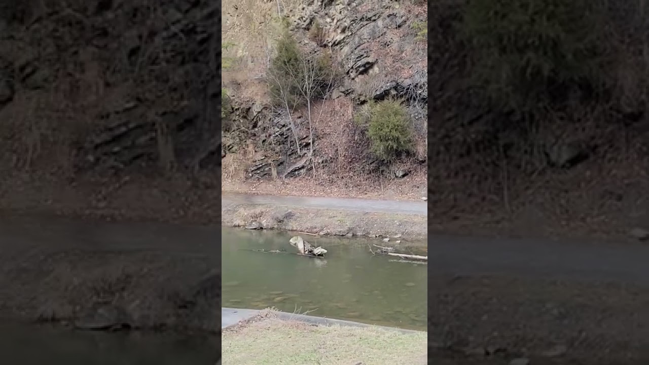 Water view video Steele Creek Park Bristol TN from dam at Rooster Front Park area Winter 2022