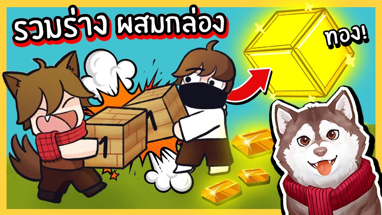 หมาสติแตกผสมรวมร่างกล่องเก่าๆเป็นกล่องทอง! 🐾