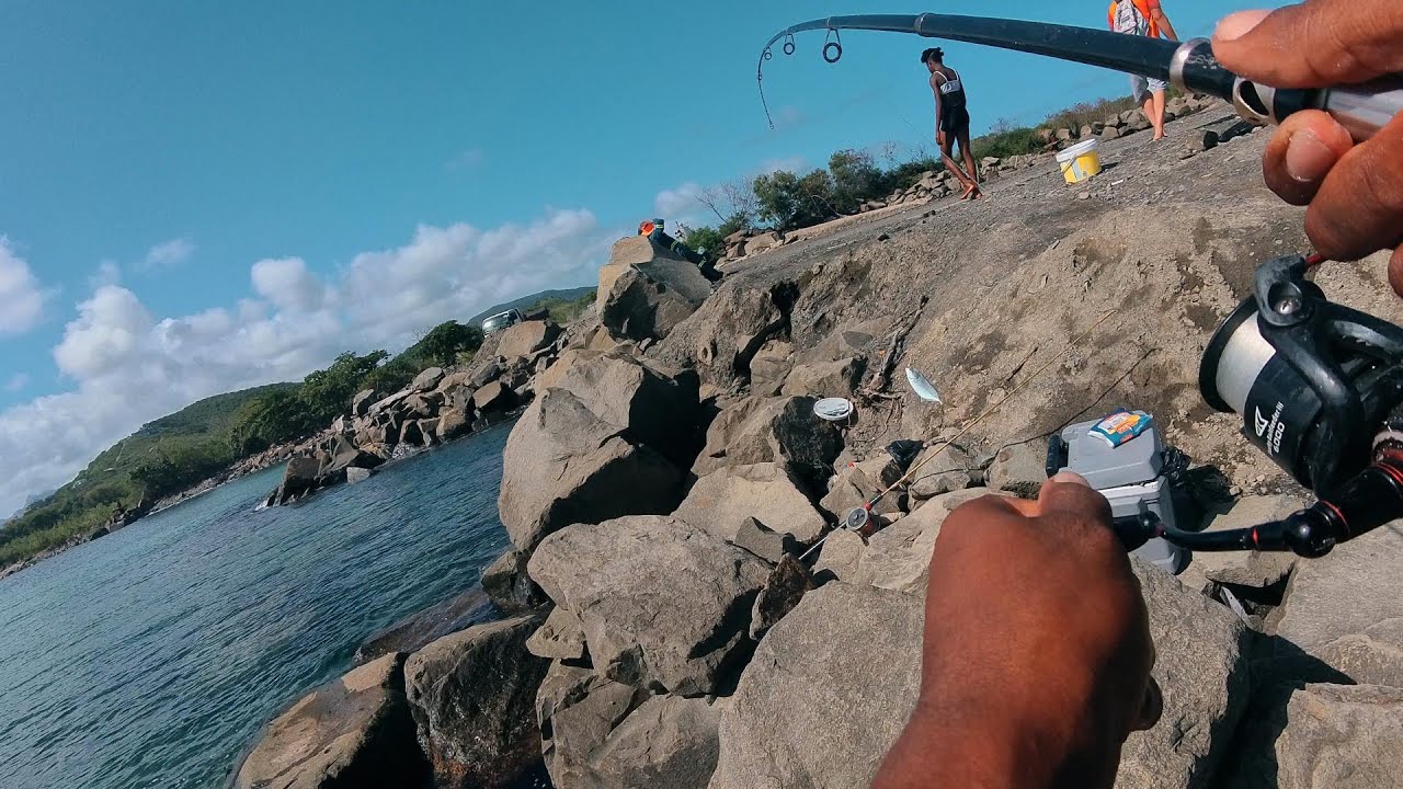 ‎Fishing for kawang in St lucia | #stlucia