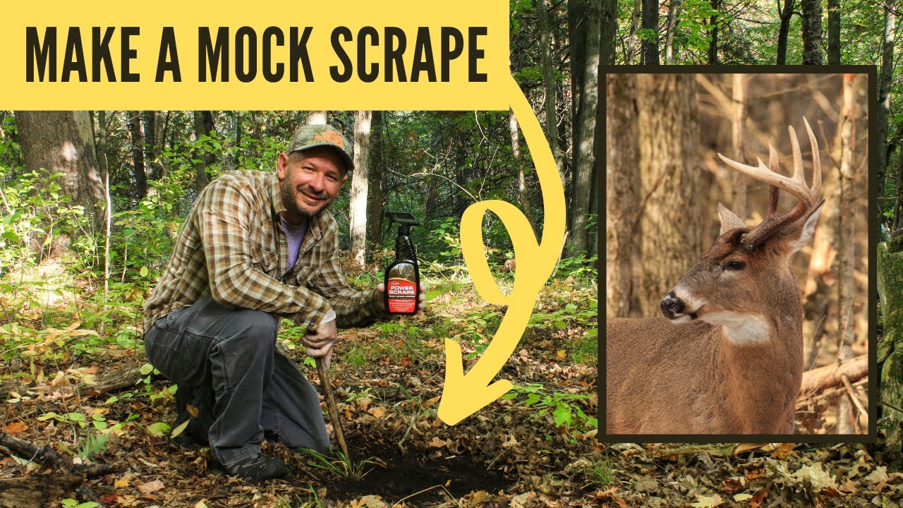 Make a Mock Scrape and Licking Branch (Deer DIY)