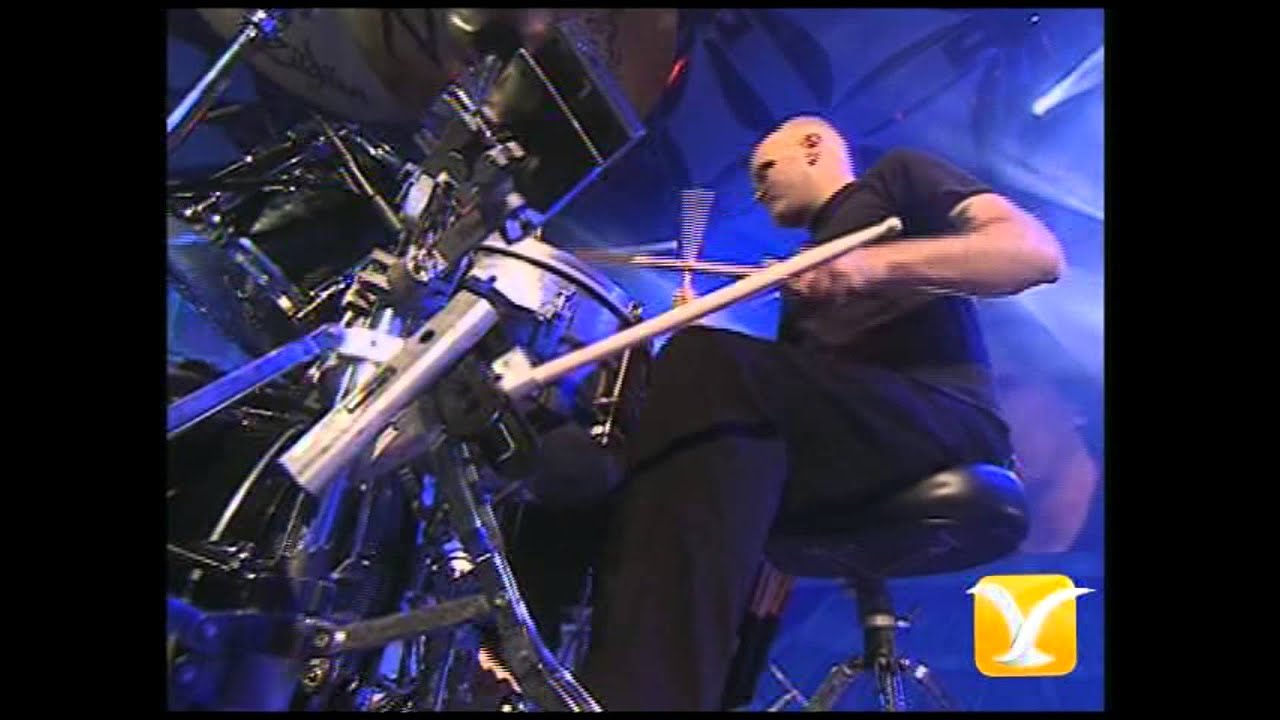 The Orchestra, Confusion, Festival de Vi&ntilde;a 2005