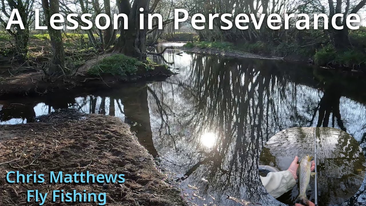 A lesson in perseverance