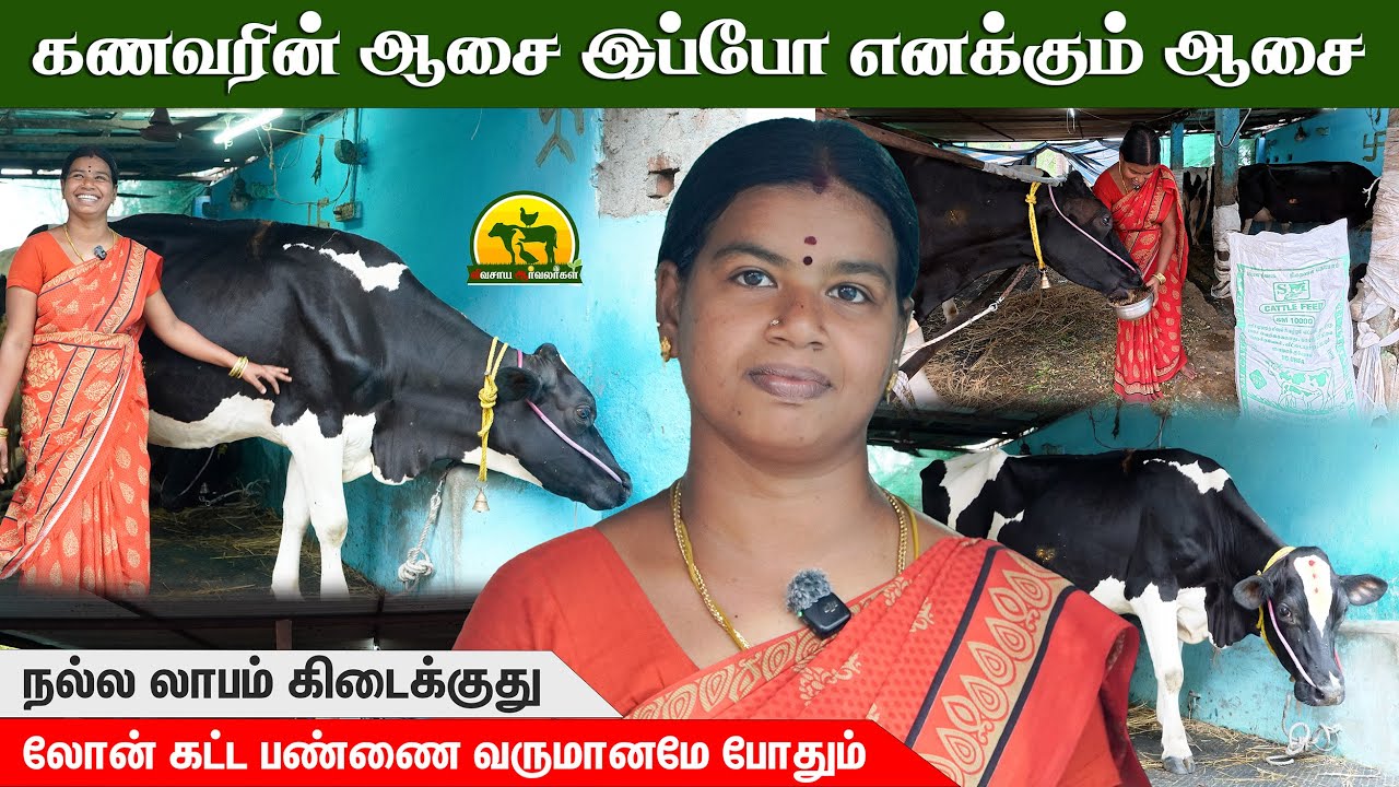 பால் பண்ணையில் வெற்றி தரும் மாடுகள் இப்படித்தான் இருக்கும் @விவசாய ஆர்வலர்கள் Vivasaya Arvalargal