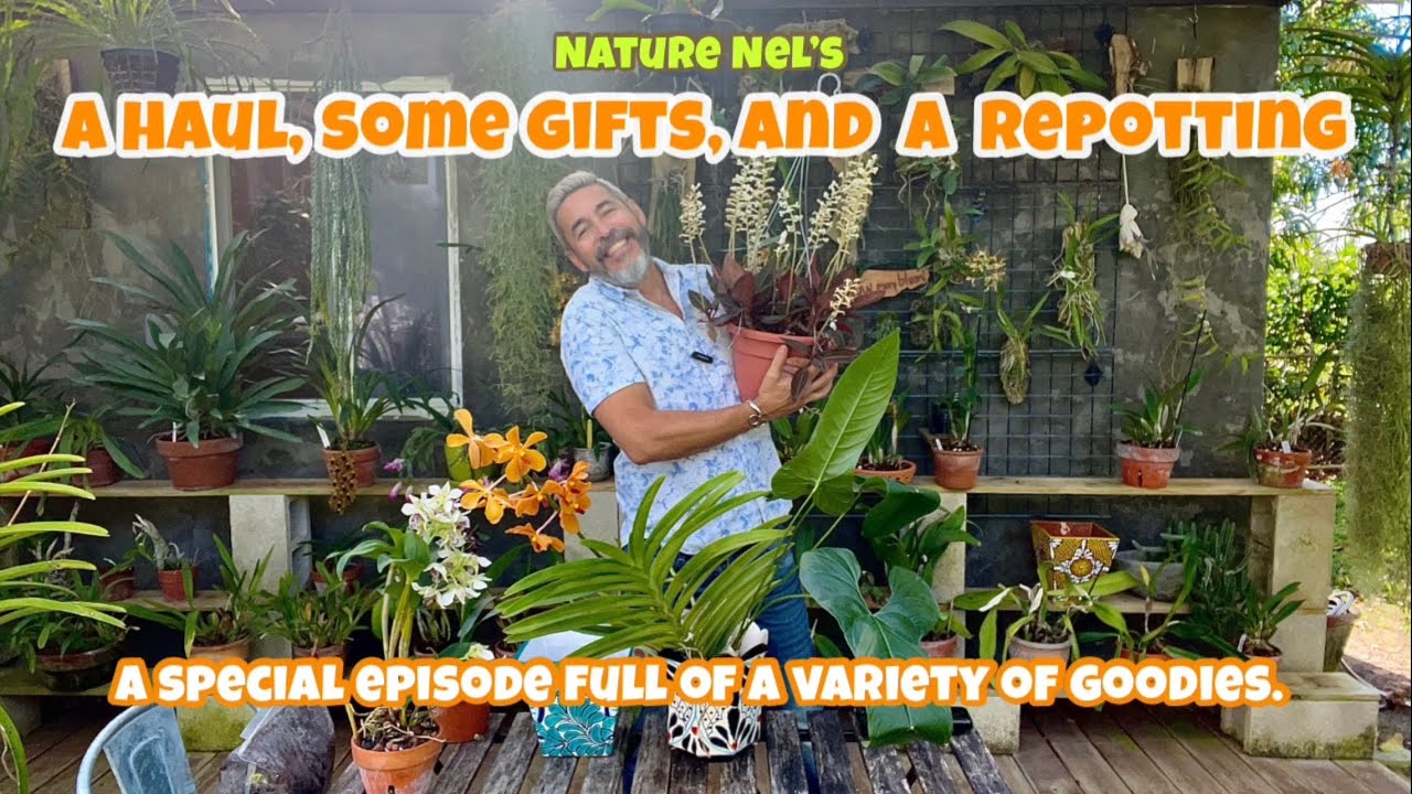 Check out the latest plant haul. Plus some orchid gifts and a special potting segment.