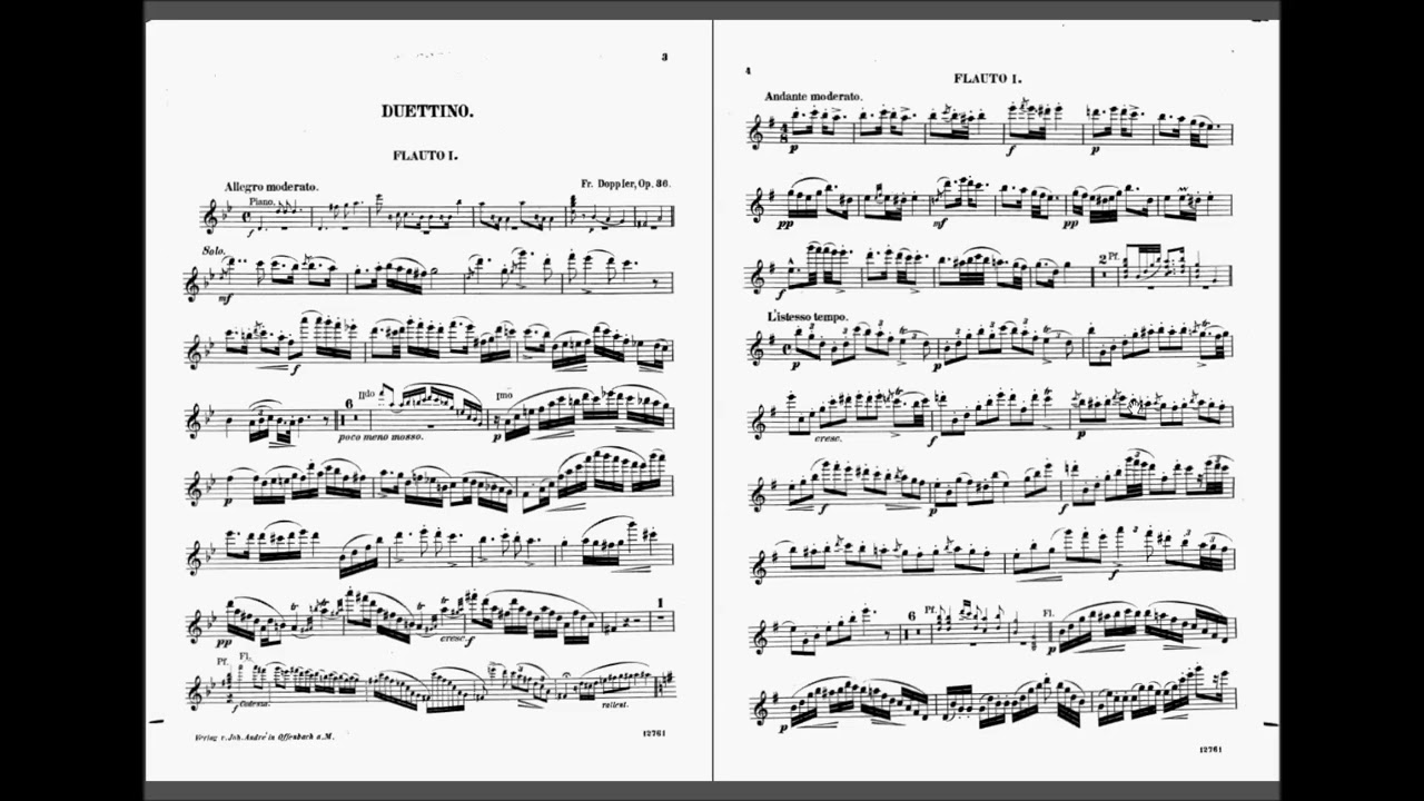 Duettino Hongrois op.36 (Franz Doppler)