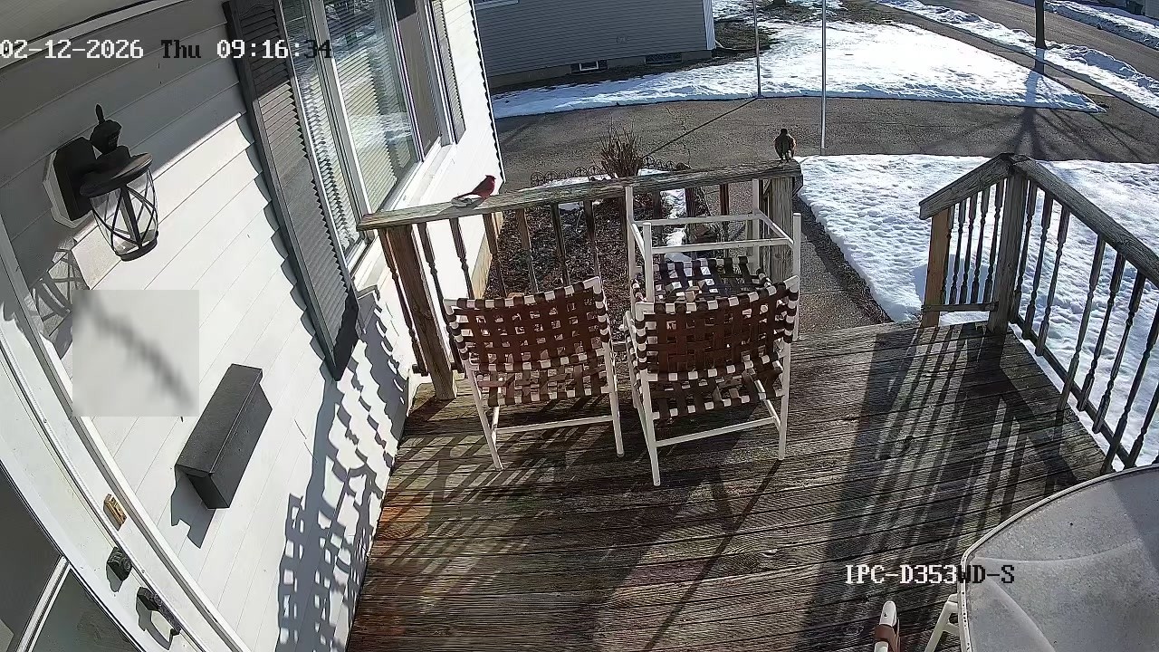20260212 091609 Cardinal and Robin on front deck railing