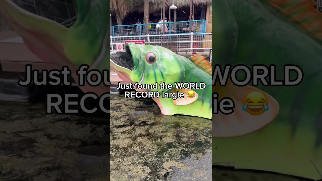 WORLD RECORD LARGIE! #fish #fakefish #bass #worldrecord #fishing