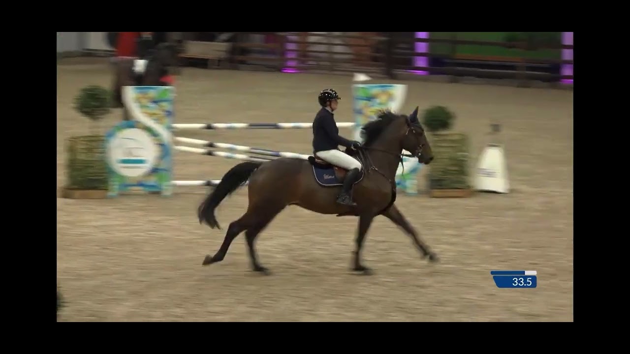 Usain de la Pomme D’Or / 6yo / CSI Lier
