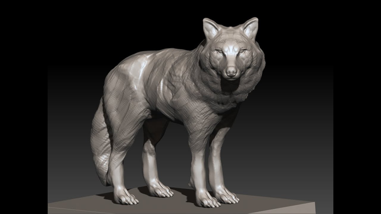 30 Minutes Zbrush Sculpting 113 Wolf