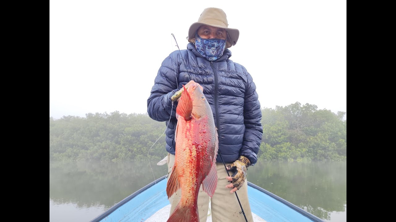 Buena Pesca de Pargos en la Niebla