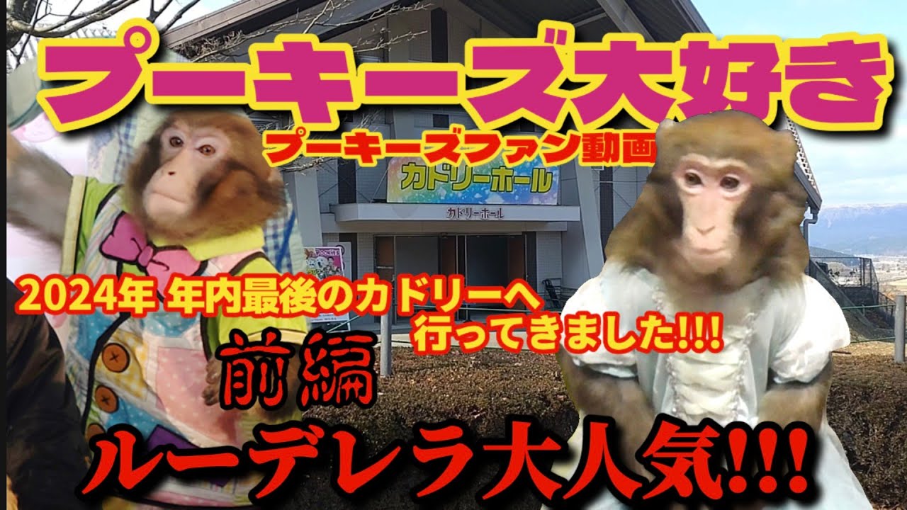 【2024年】年内最後のカドリーへ行ってきました!!!【前編】