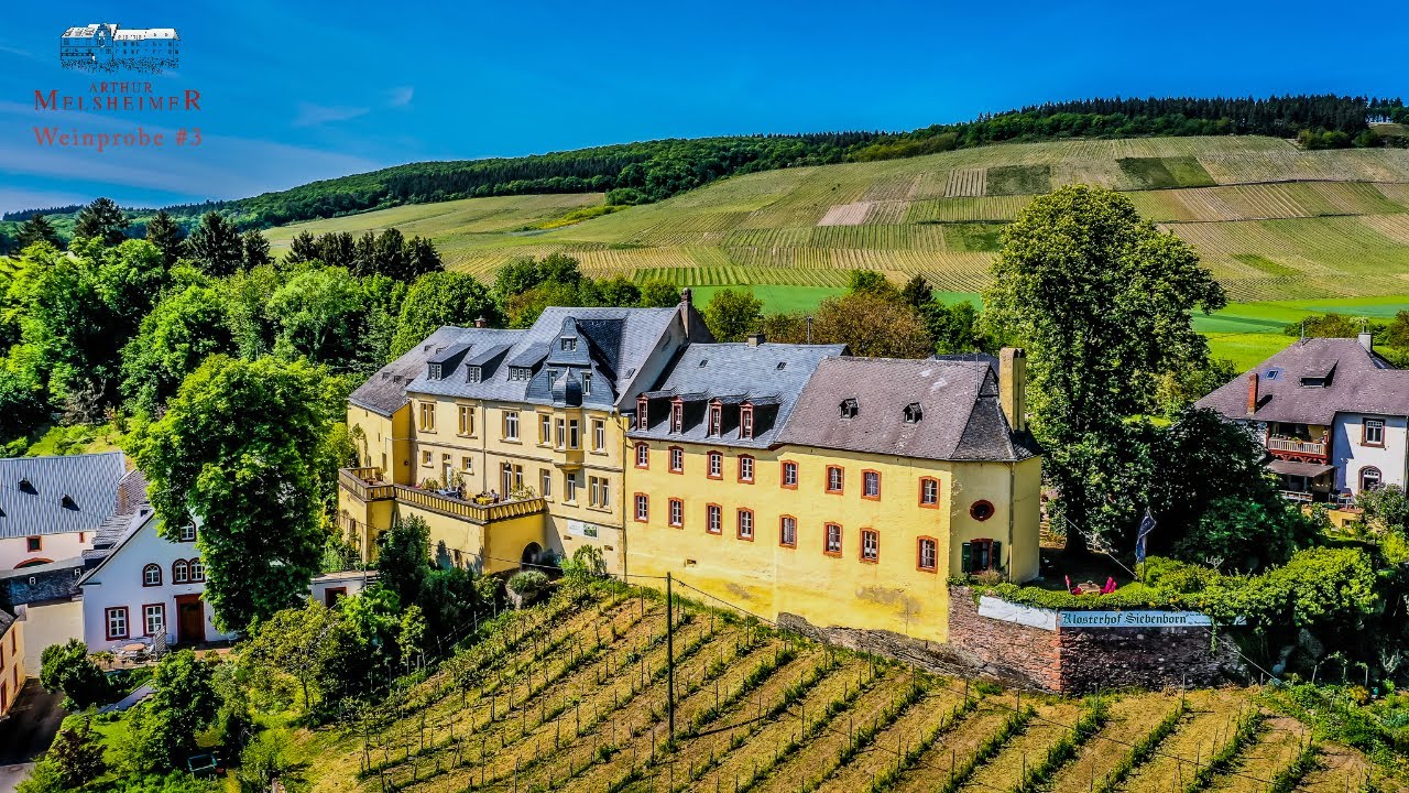 Alte & Neue Reben im Honigberg