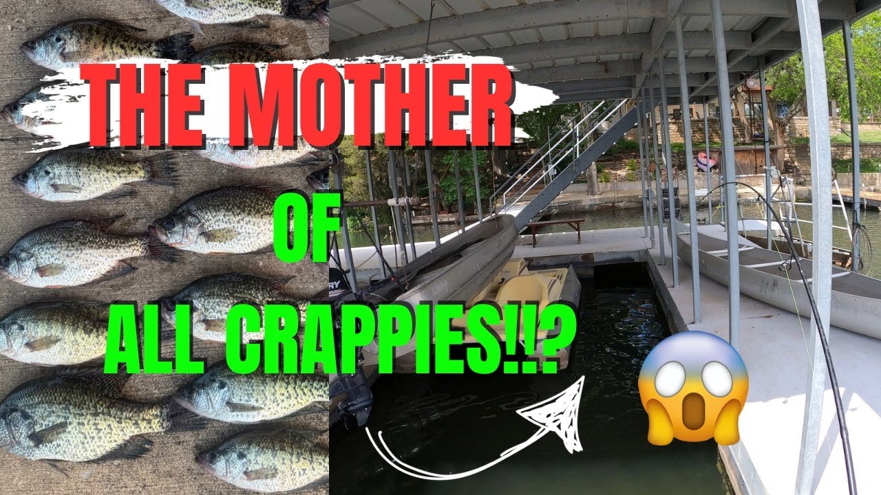 How to Catch Crappie Dock Shooting - I Hooked the Mother of All Slabs!?